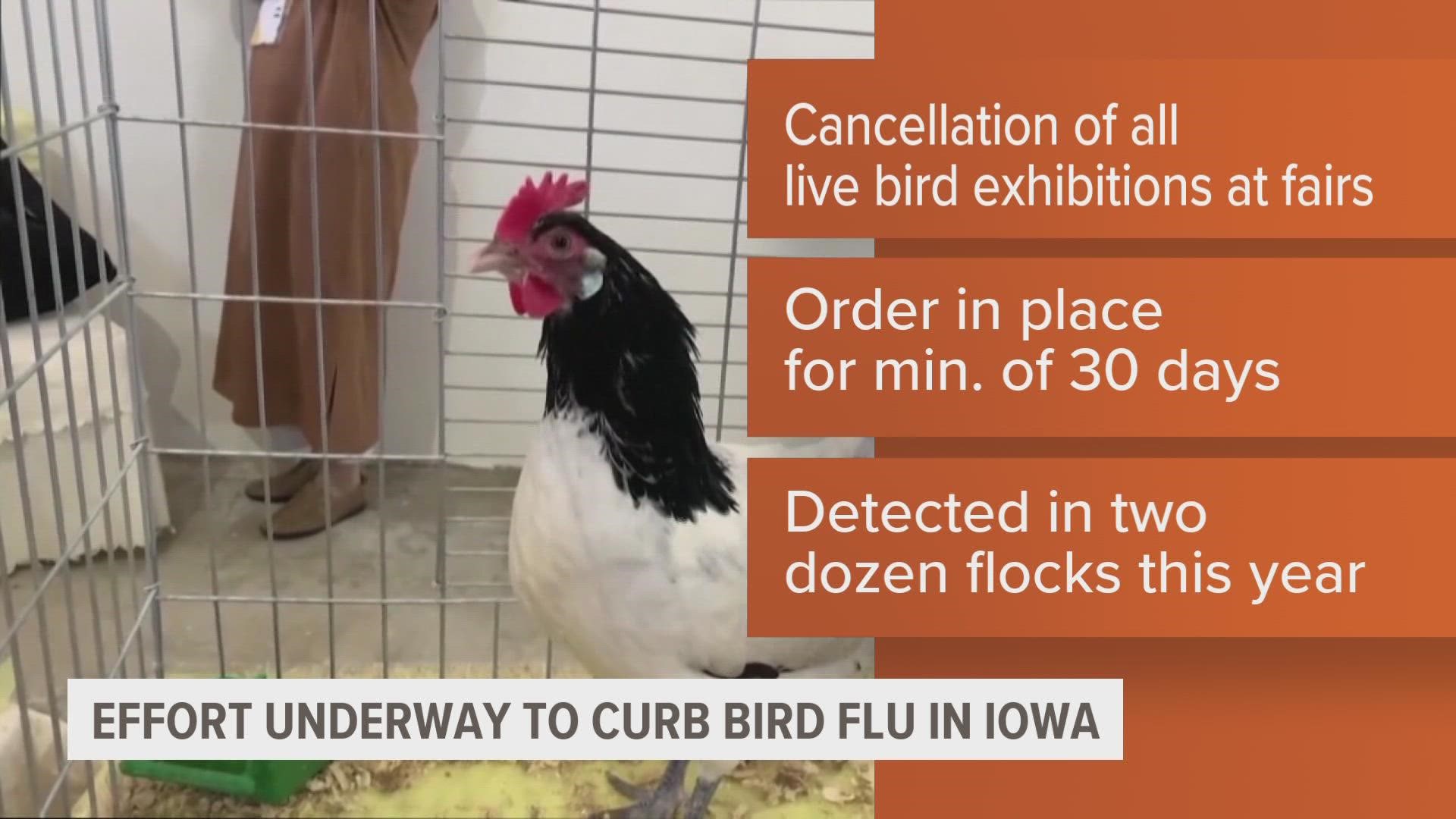 The most recent case in Iowa was reported Tuesday in Louisa County in a backyard flock of 20 birds.