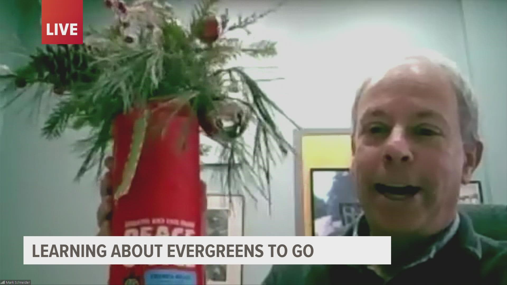 The arboretum's "Evergreens to Go" event is Dec. 4 from 9 a.m. to noon. 100% of proceeds will go toward revitalizing the arboretum's hosta collection.