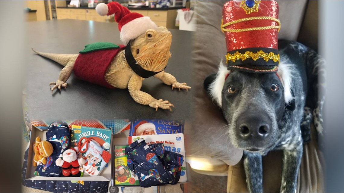 From festive pets, to Christmas Eve boxes of goodies: these are some of Iowans' holiday traditions - Vimarsana News