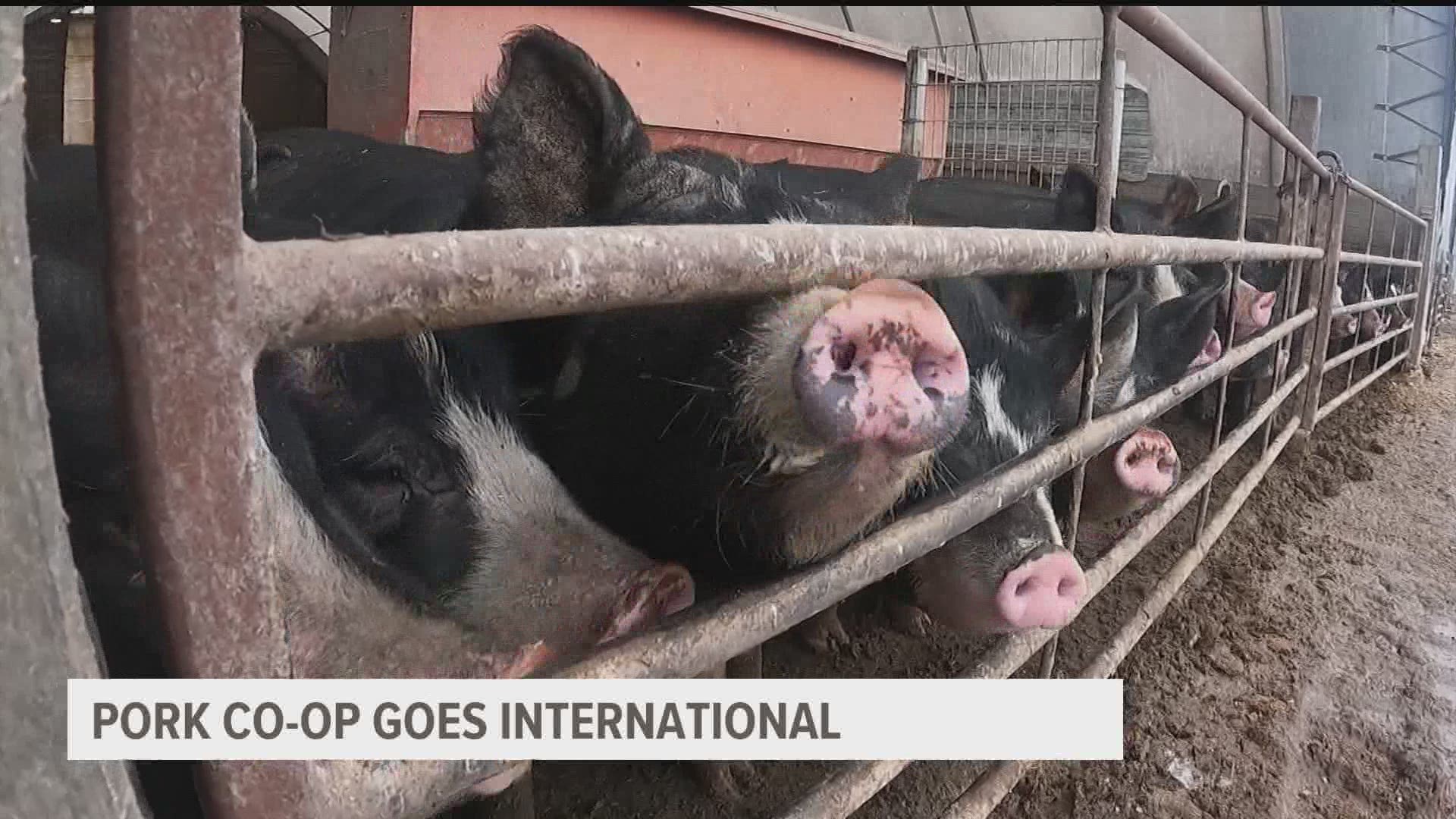 Pork farmers raising Berkshire pork are selling more and more products in Japan.