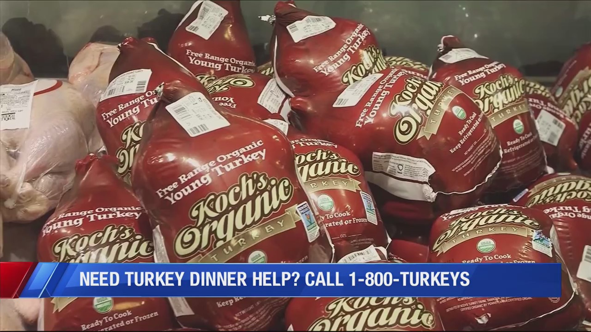 Thanksgiving is right around the corner and in today's Consumer Matters, there's a new way to get your turkey day questions answered.
