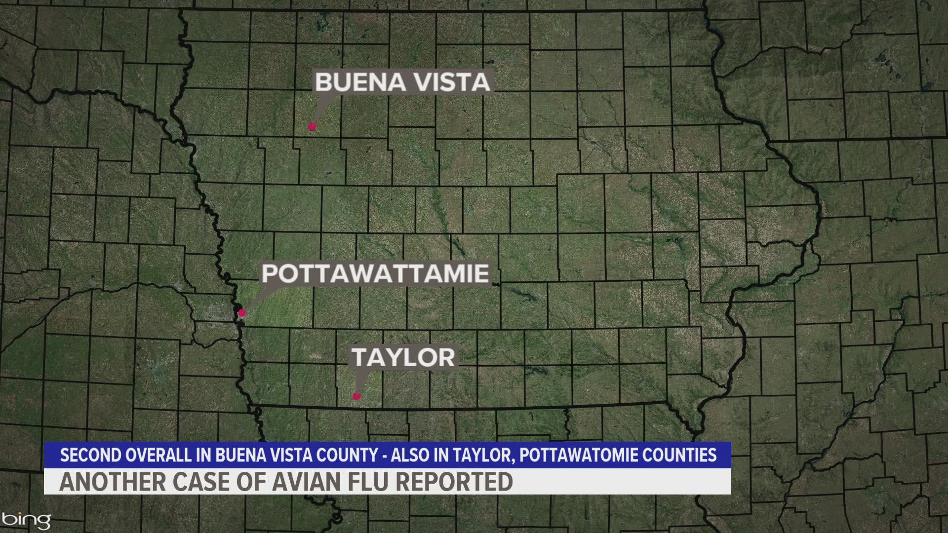 This is the second confirmed case of avian influenza in Buena Vista County.