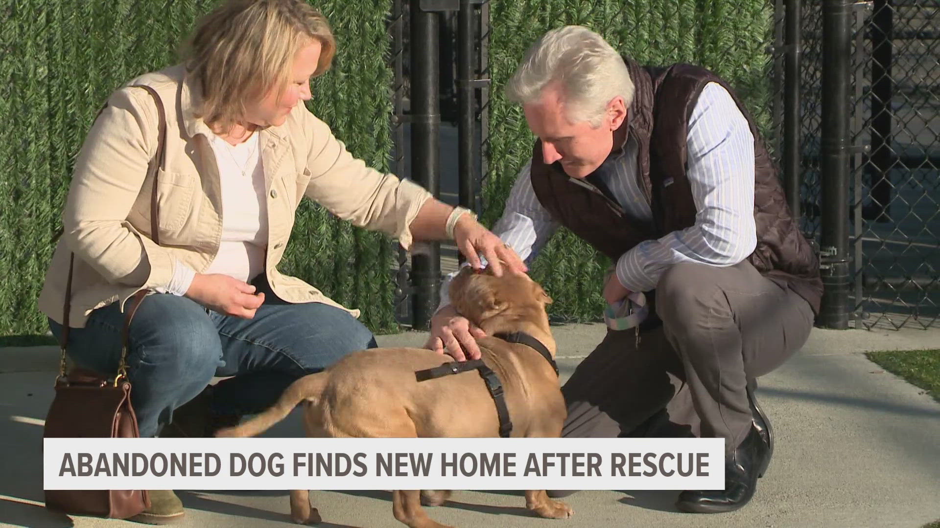 Abandoned, neglected dog found in trash bag finds forever home ...