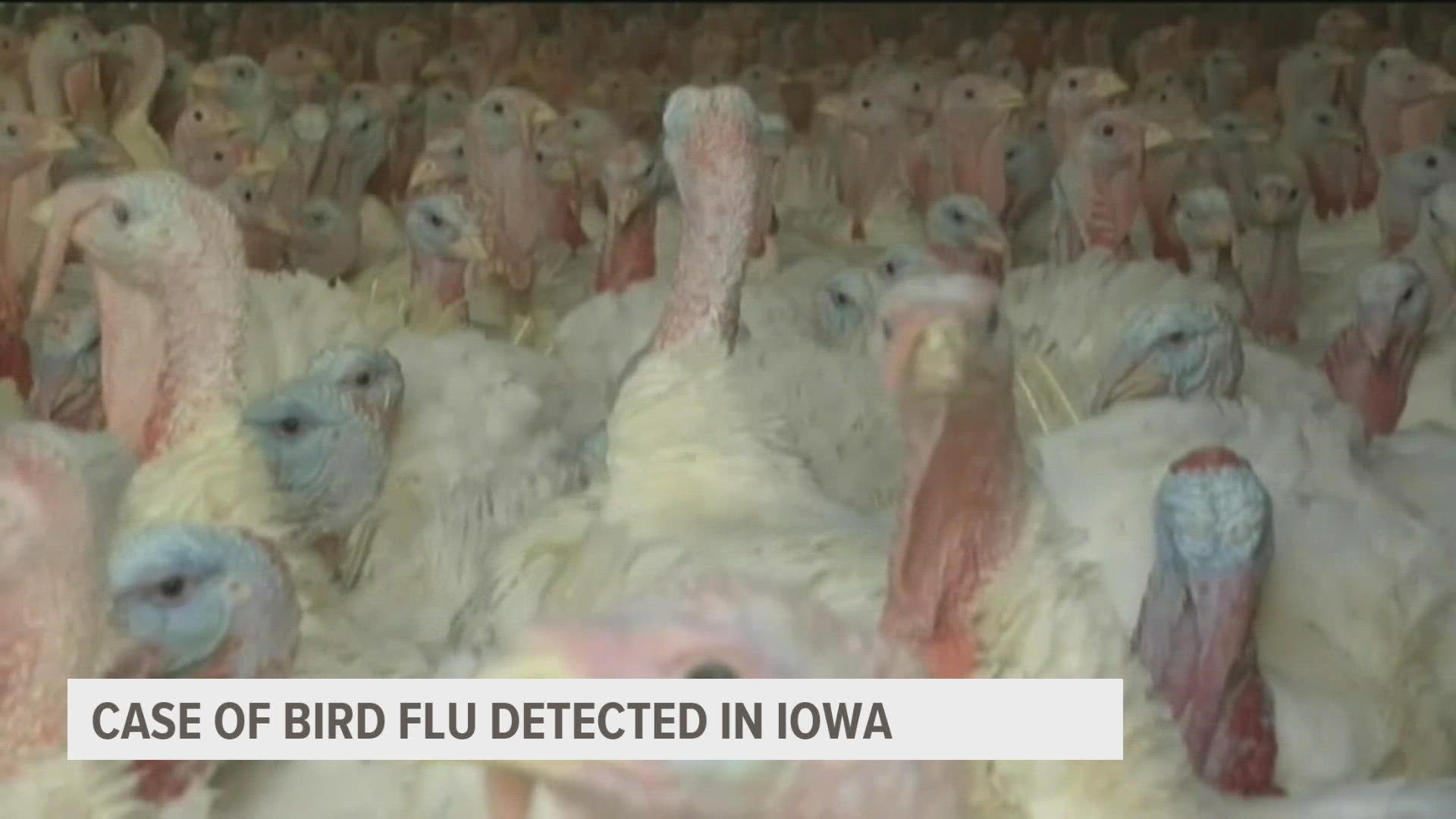 The Iowa Department of Agriculture said Wednesday there is no health concern for the public.