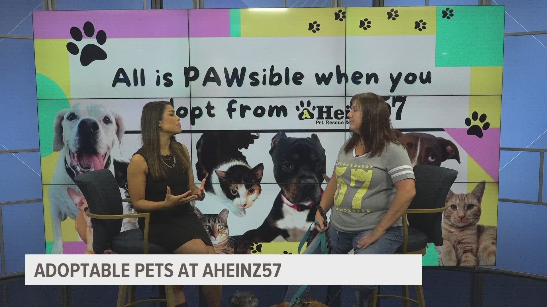 Lori McClur with AHeinz encourages people to adopt older pets and get involved by adopting or fostering an animal.