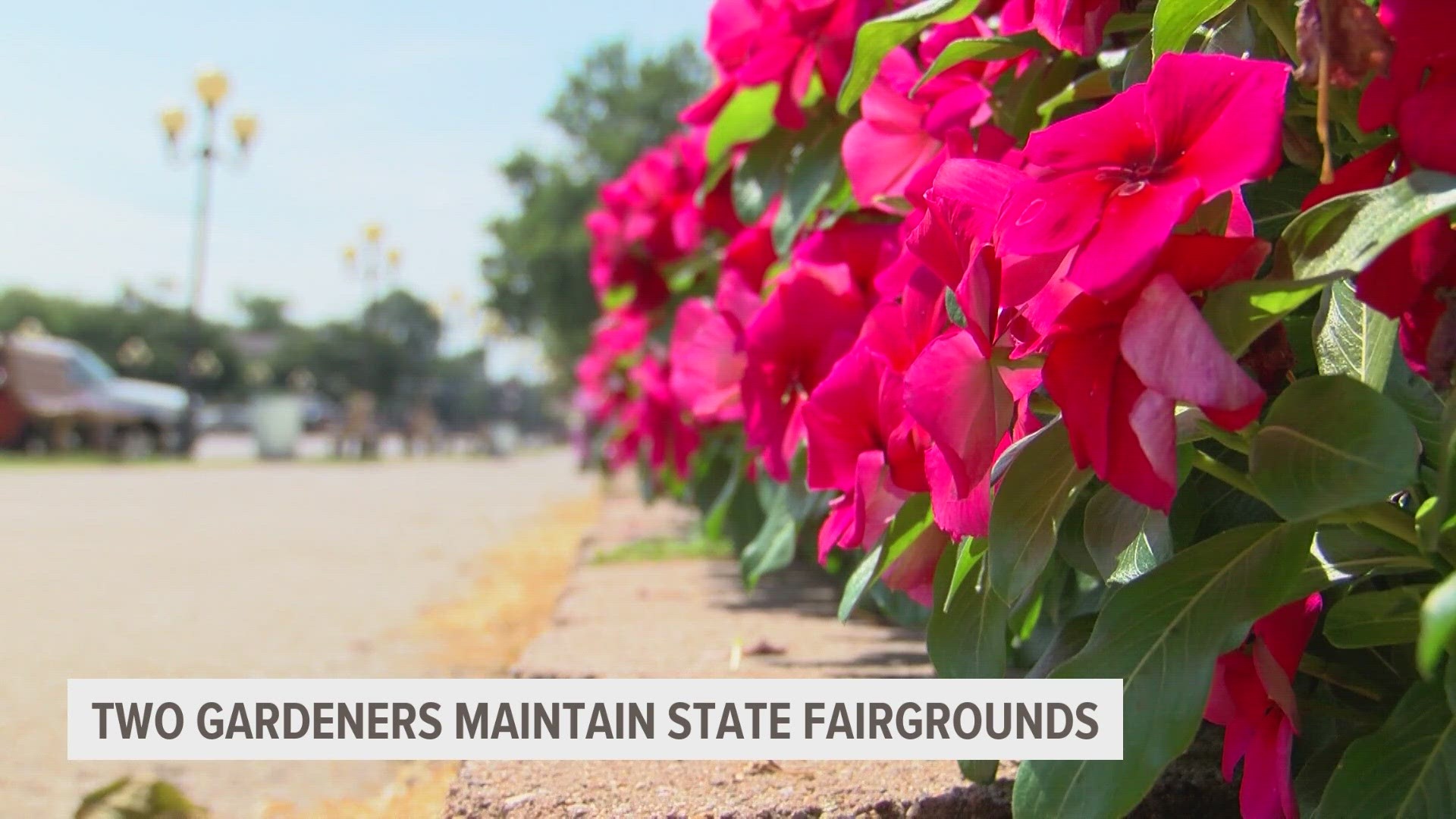 If you're at the Iowa State Fair this year, be sure to stop and smell the flowers.