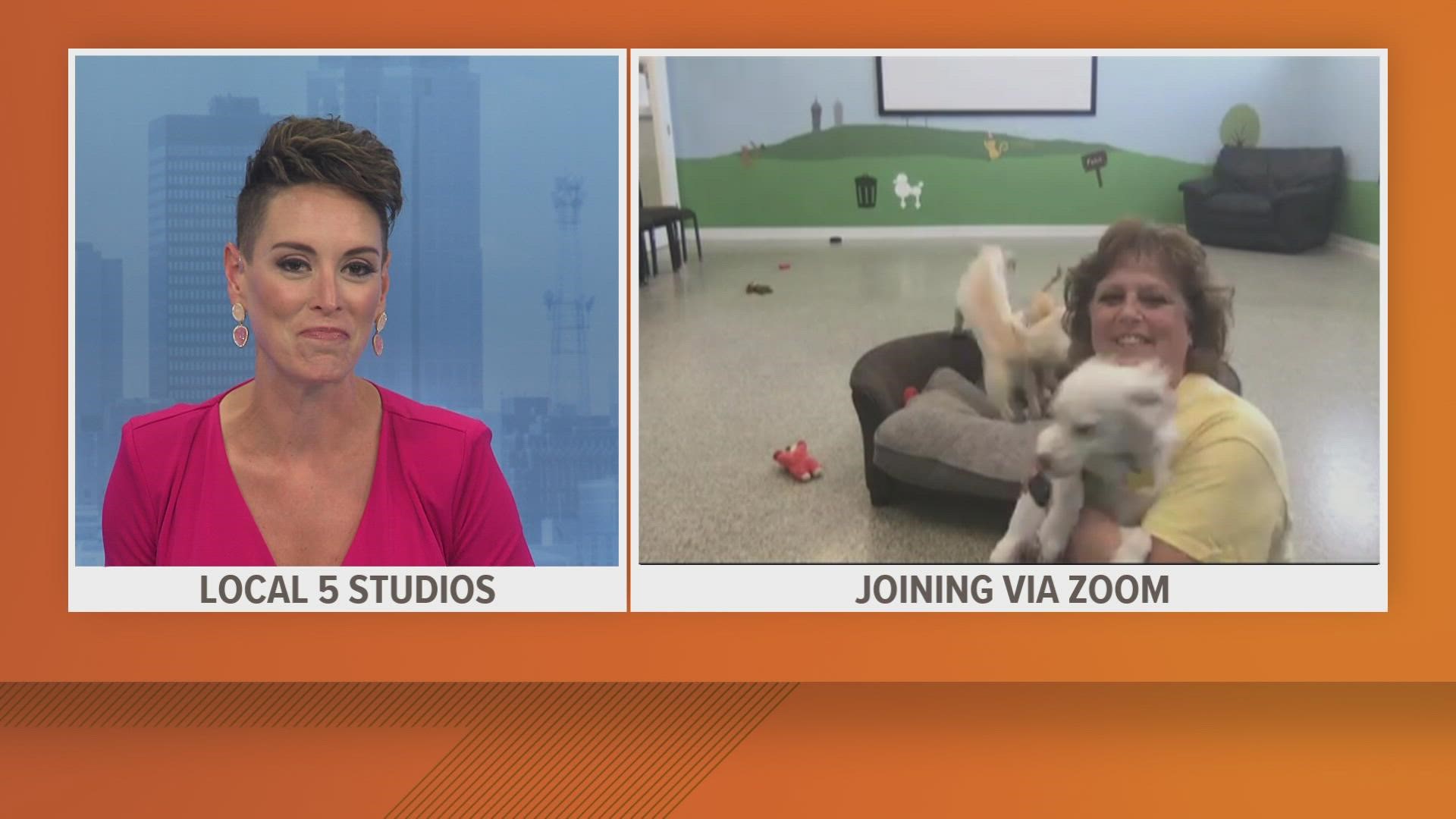 Amy Heinz, with AHeinz57 Pet Rescue and Transport, explains how to expedite the adoption process and how to tell if a pet is a good fit for your home.