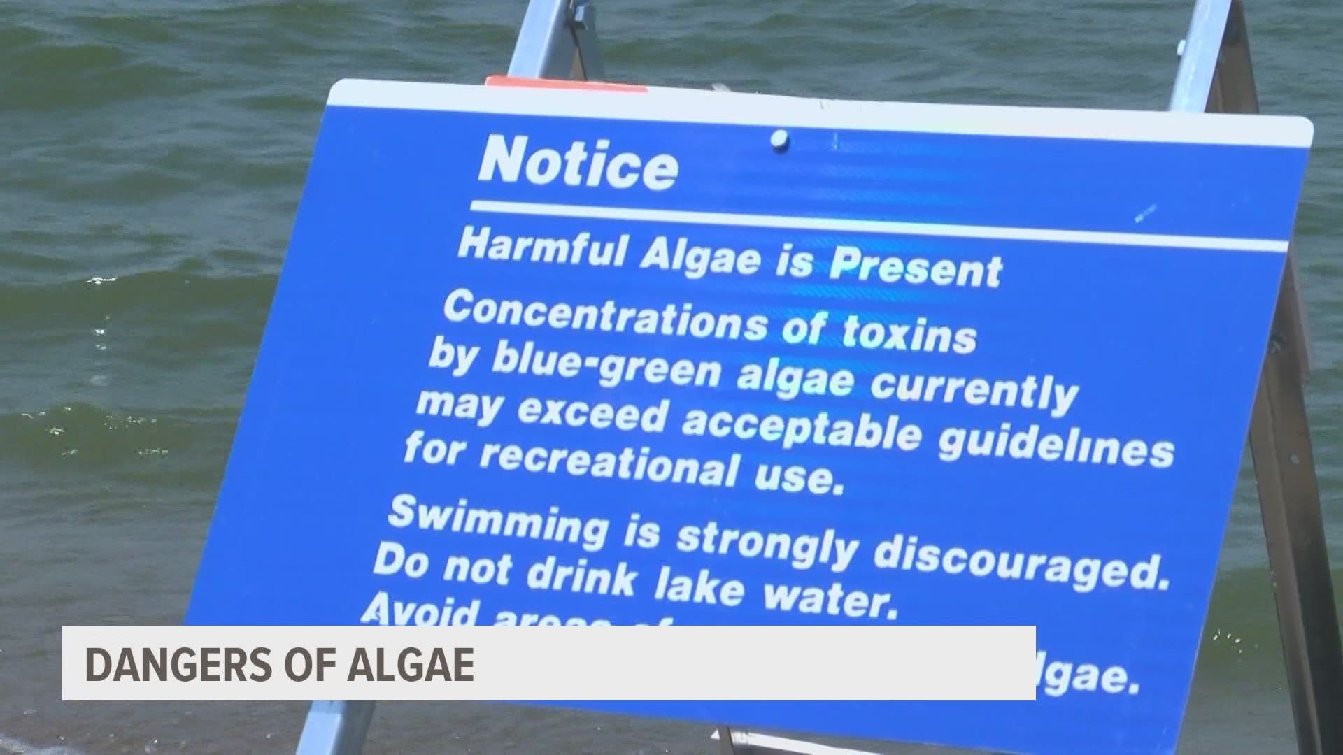 A water patrol officer with Iowa DNR describes the risk associated with someone touching or ingesting algae.