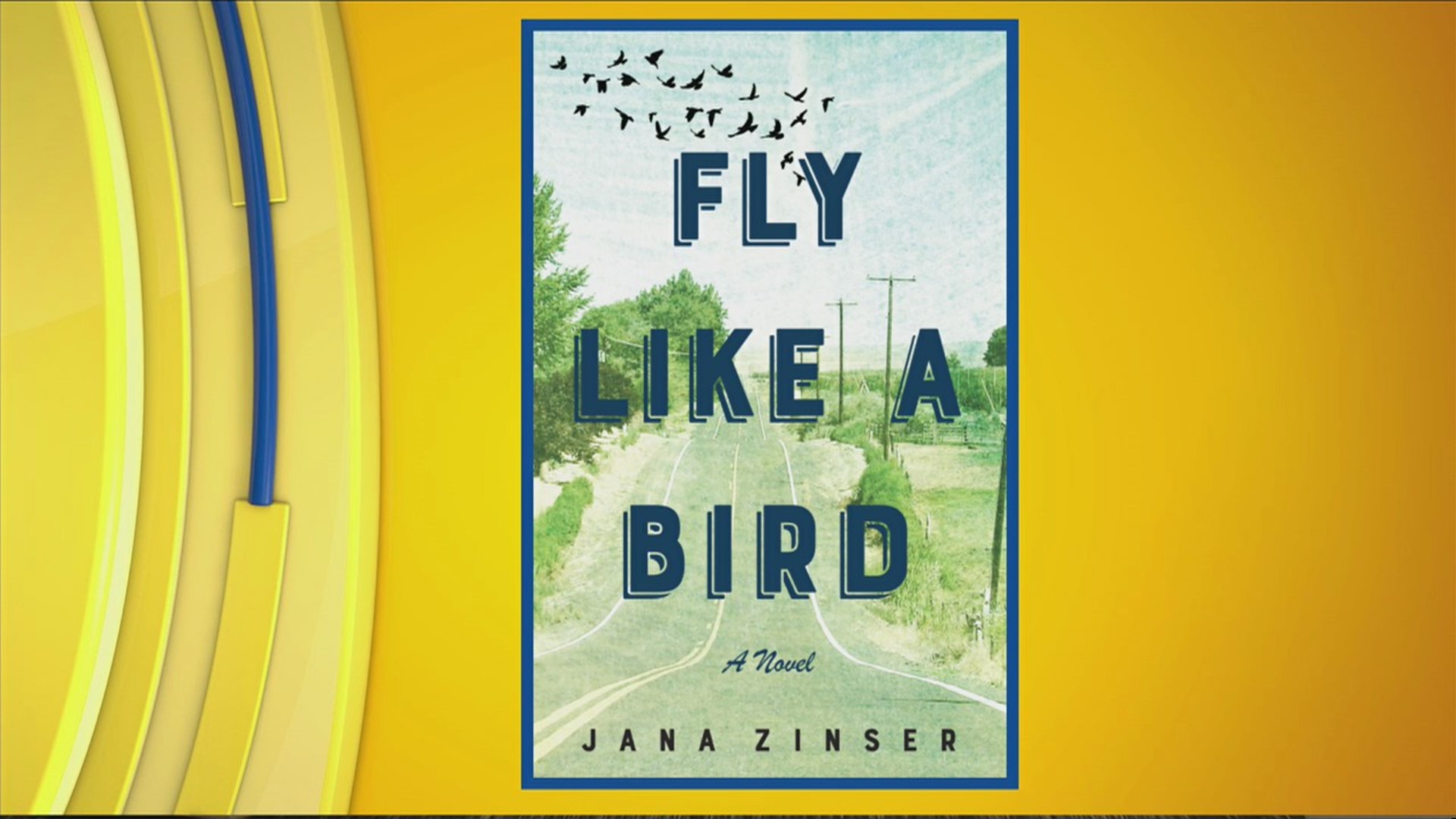 Jana Zinser, Author of Fly Like A Bird