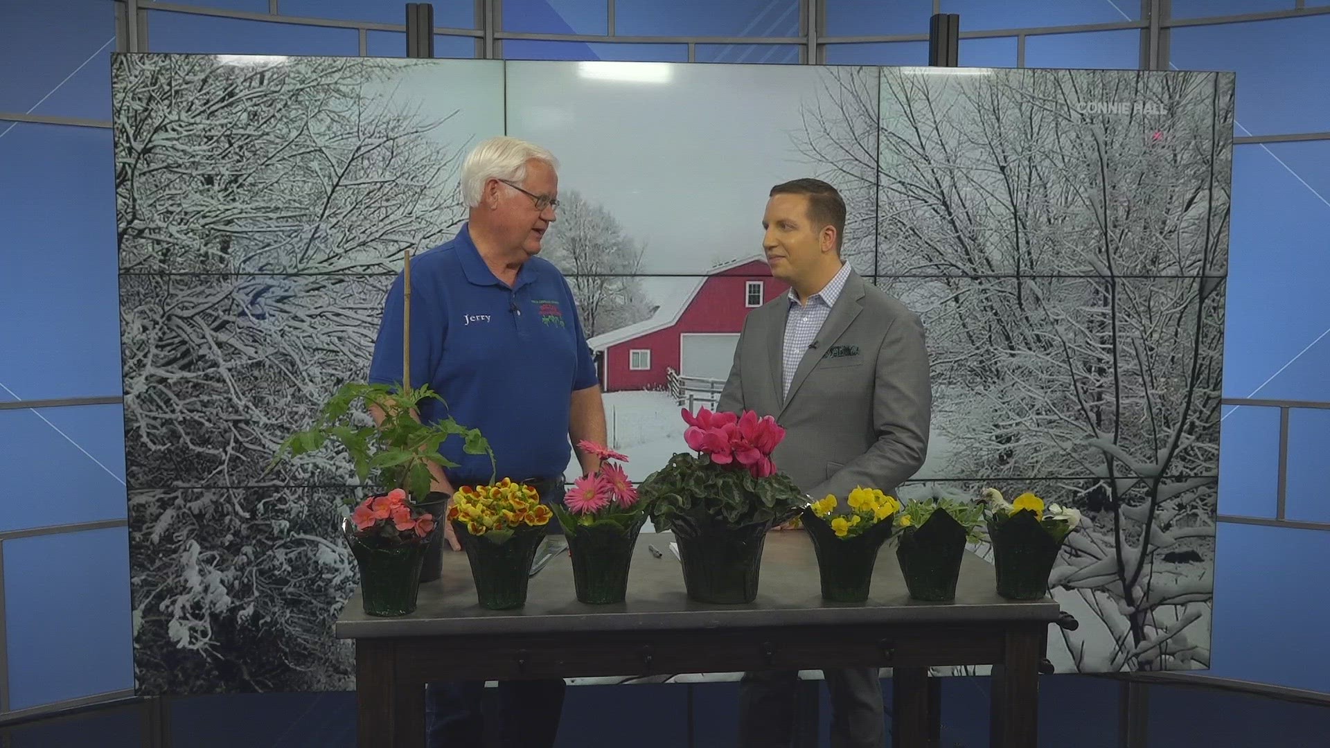 Jerry Holub with Holub Greenhouses shares how to get your plants ready for planting this spring.