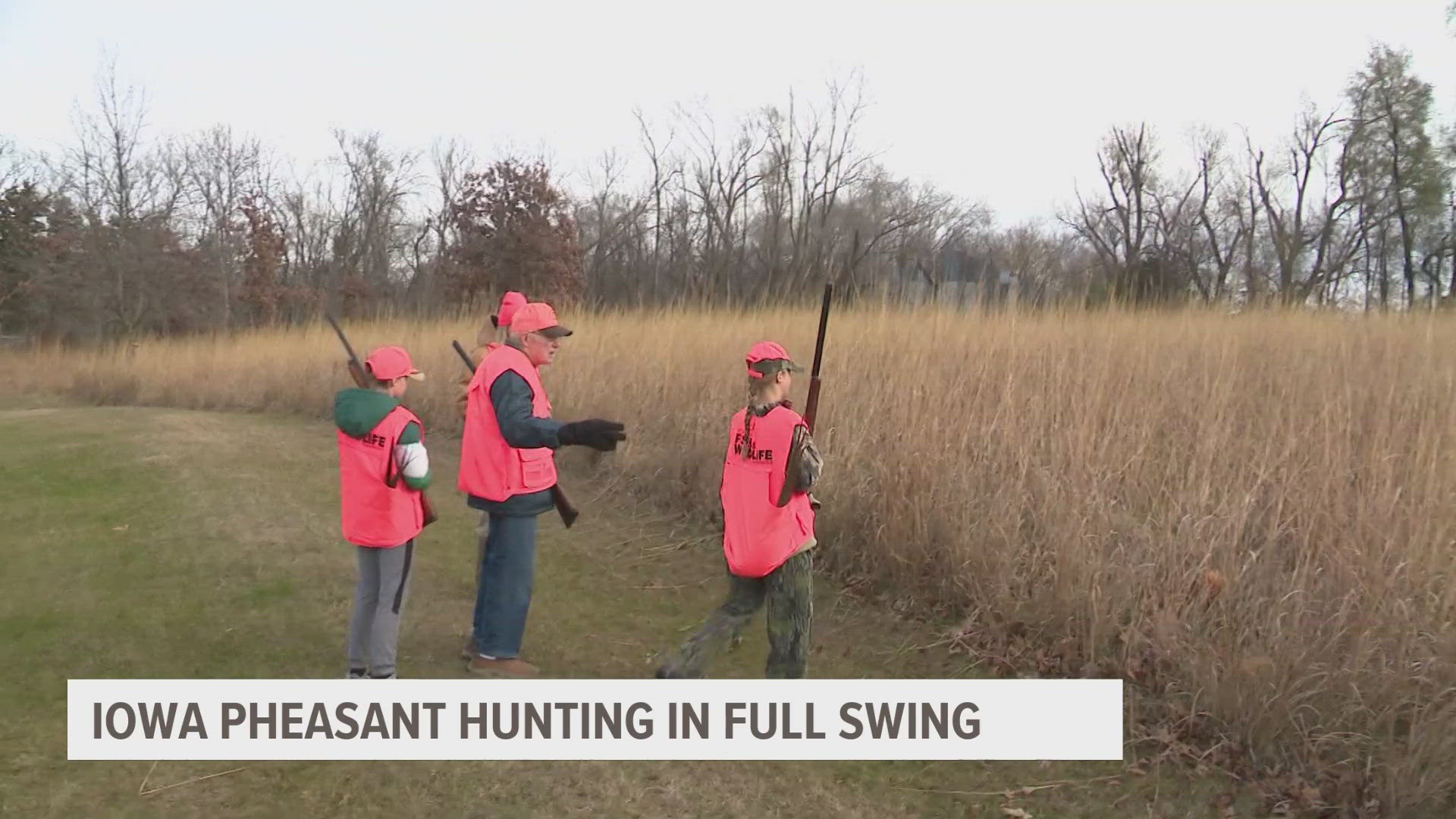 The DNR says the cold weather offers hunters less competition this year.