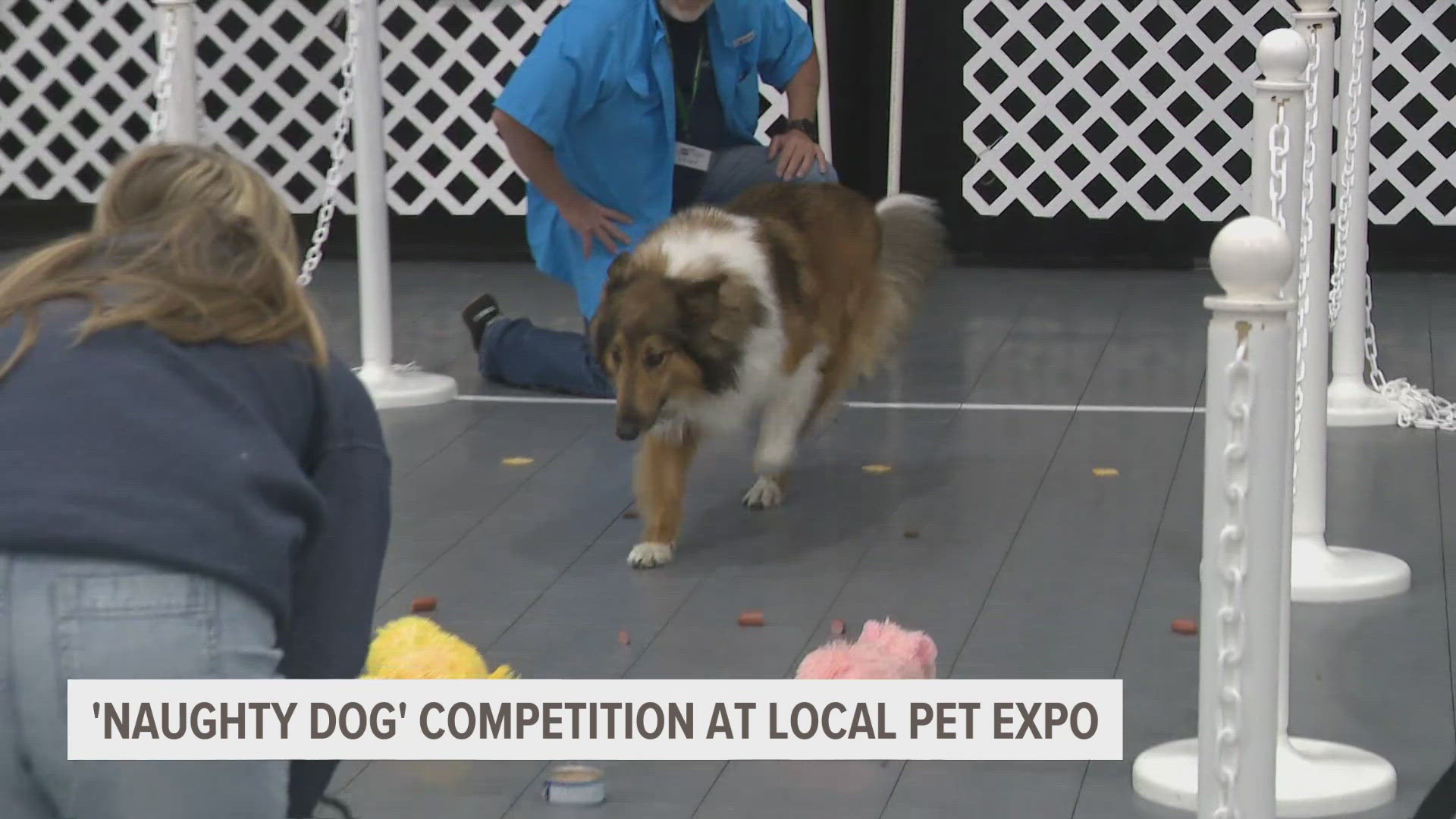 Dog's could also show off their tricks at the "Naughty Dog" competition.