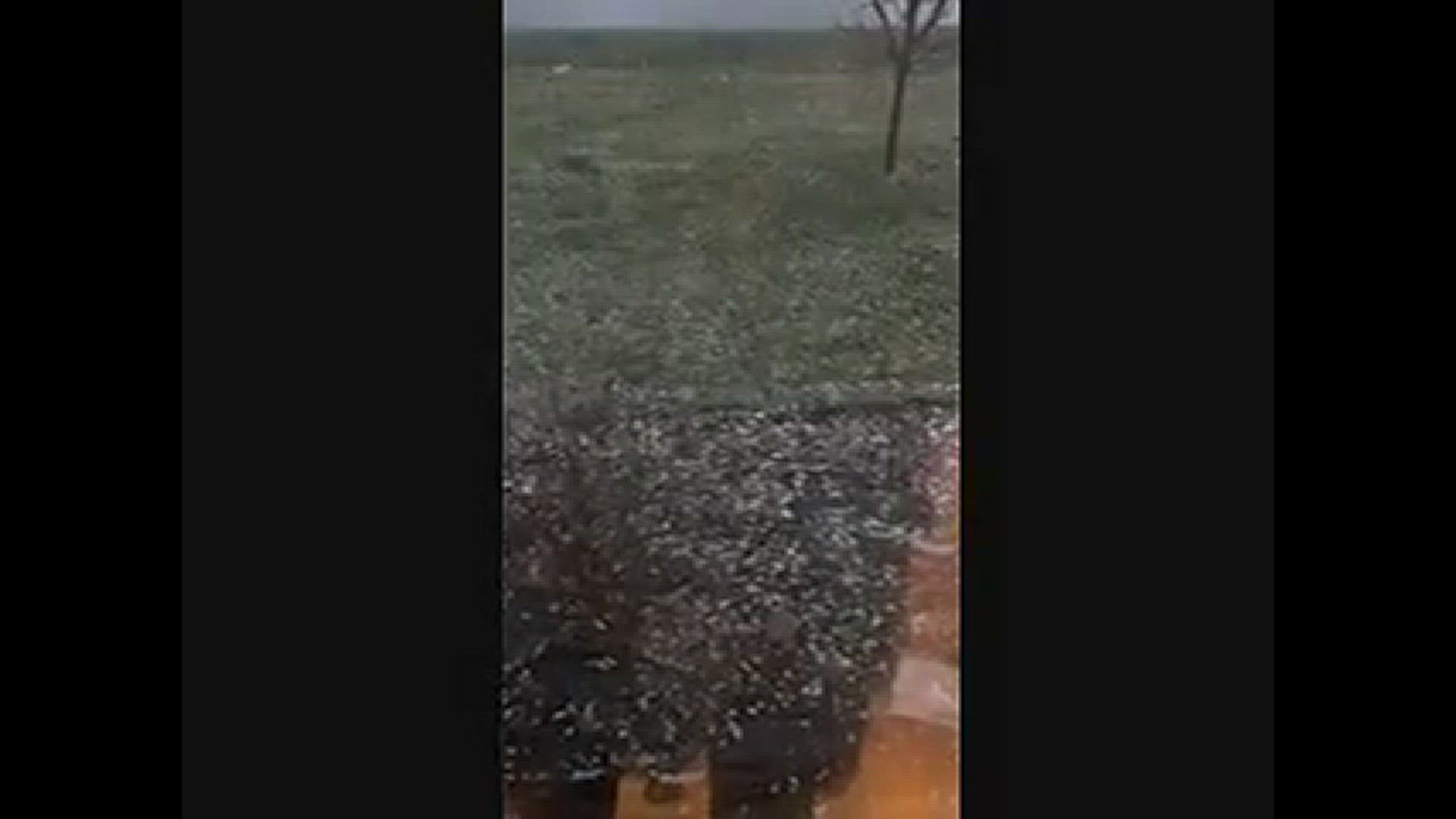 Hail in Sully, Iowa (April 4, 2023)
Credit: Becka