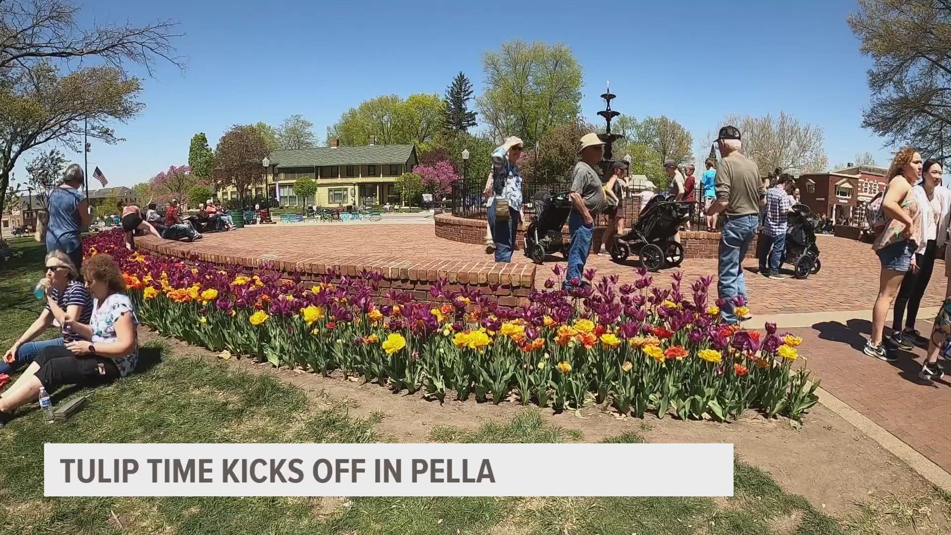 From the beautiful flowers to delicious food, here's what you can expect at Tulip Time in Pella.