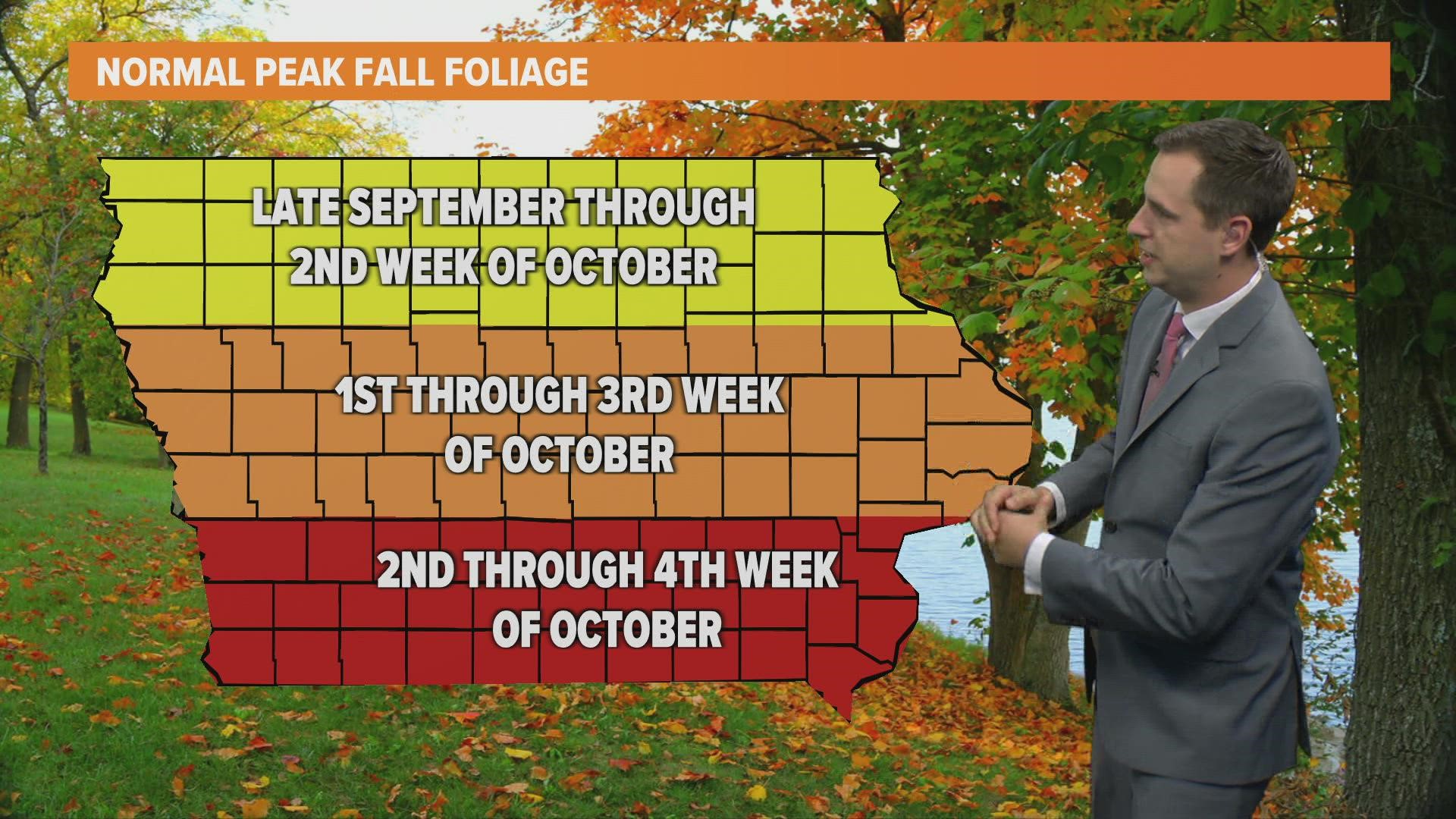 Climate change may make autumn leaves fall early and store less carbon