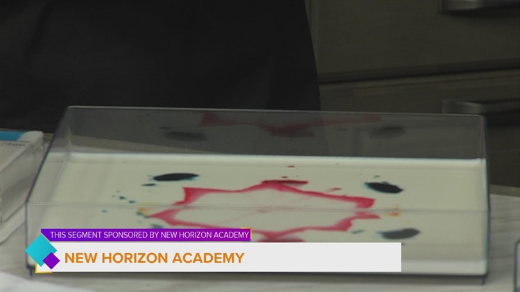 Magic Milk & Sink or Float STEAM projects with New Horizon Academy | Paid Content