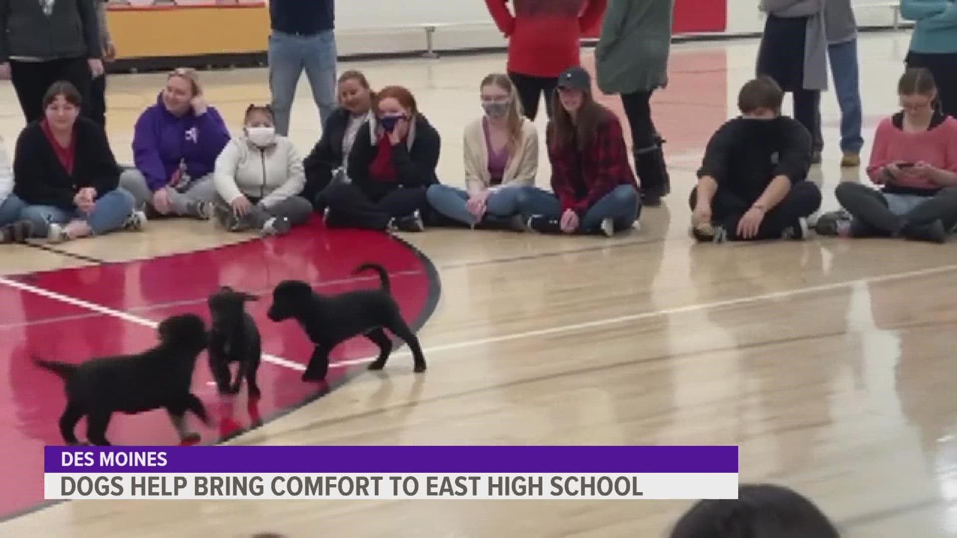 AHeinz57 brought dogs to the school Friday to bring students emotional support after a difficult week.