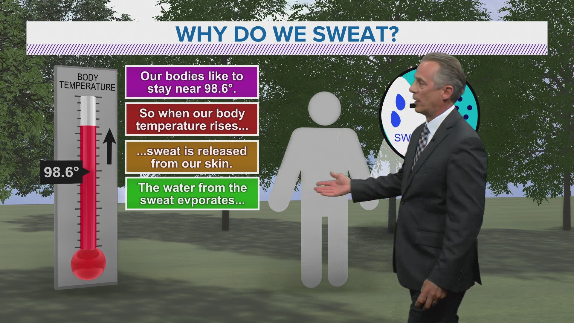 Why Do Humans Sweat 0653