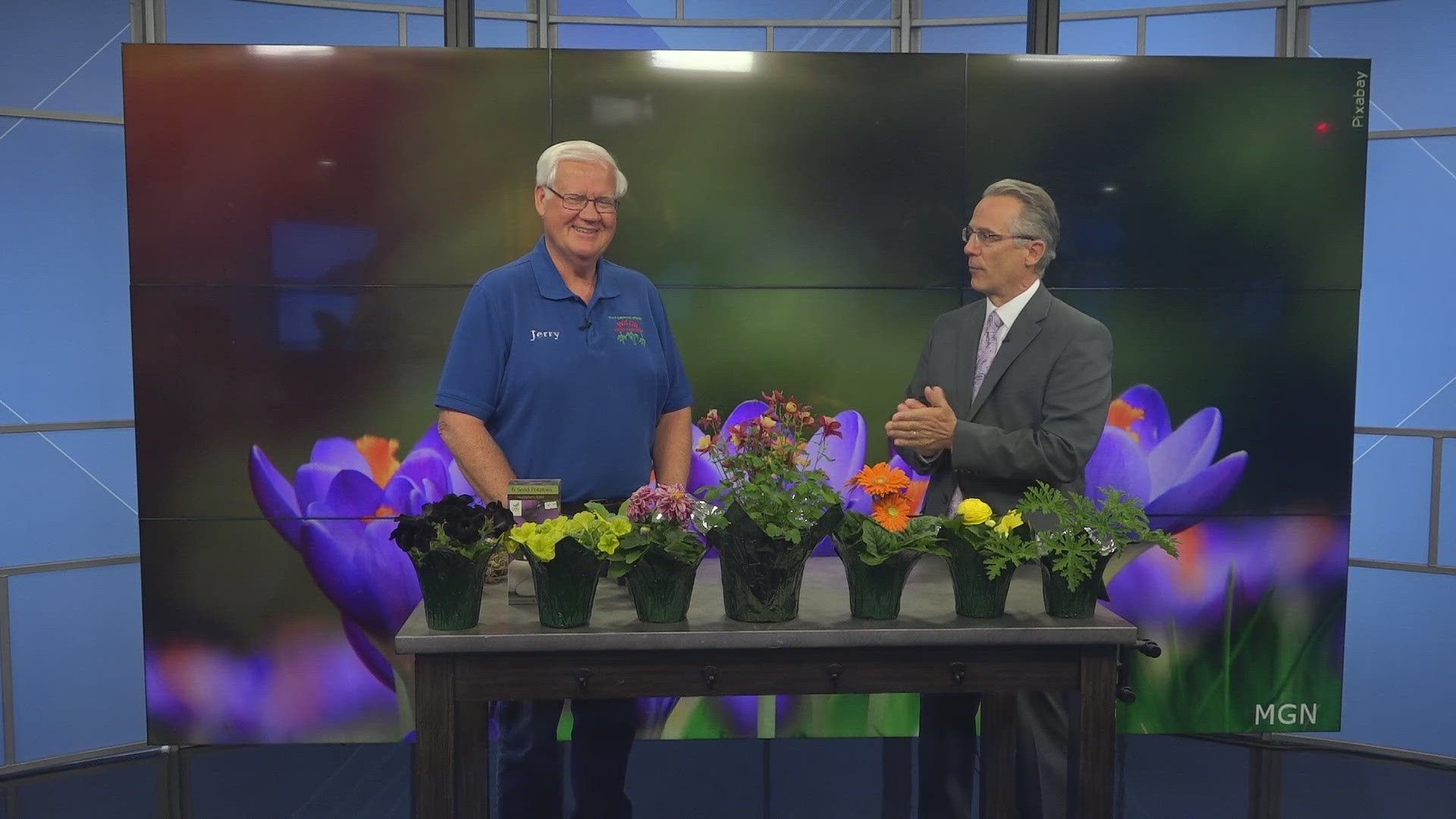 Cold weather crops Holub Greenhouses share favorite freezeproof