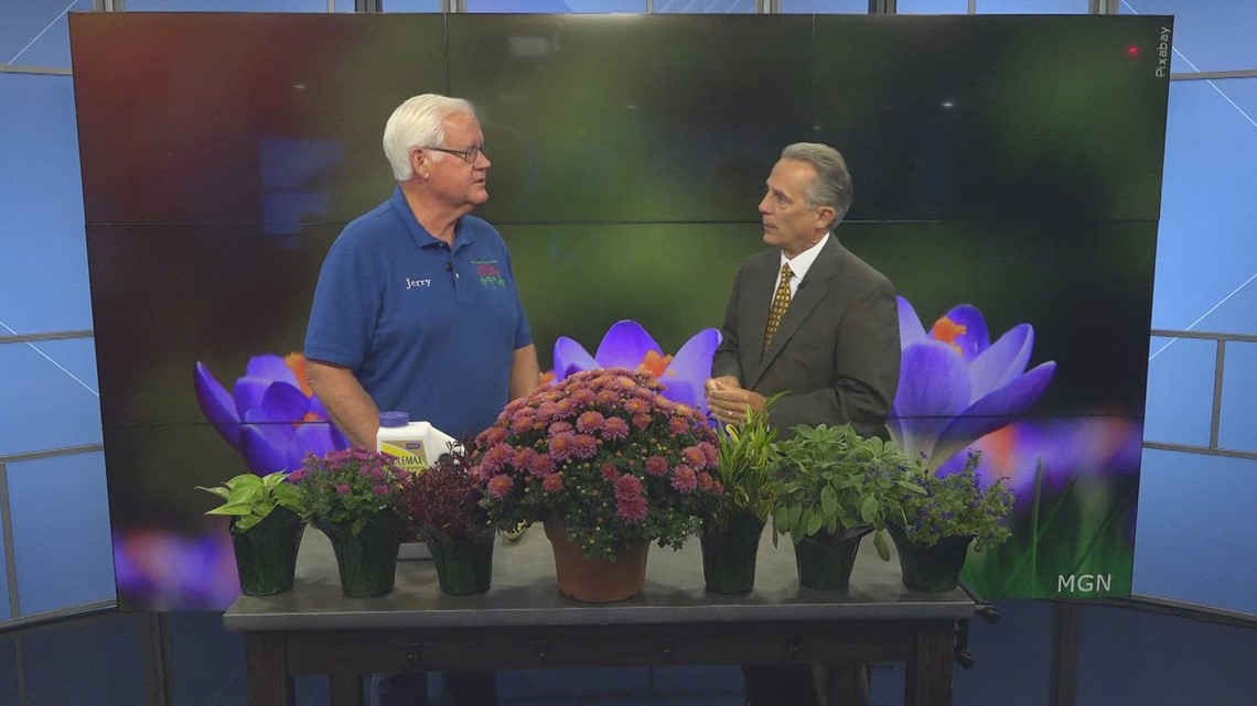 Holub Greenhouses shares how to deter pests, prepare for colder weather