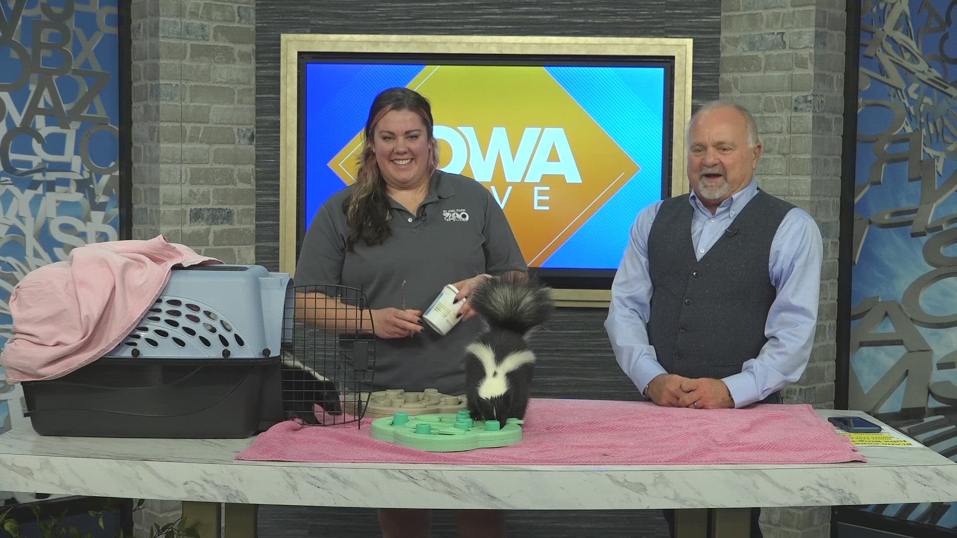 Julia Bingham from the Blank Park Zoo introduces two rescued skunks, and previews the weekend's Night Eye event | Paid Content