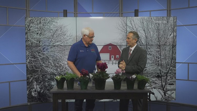 Holub Greenhouses shares how to get your gardens ready for spring