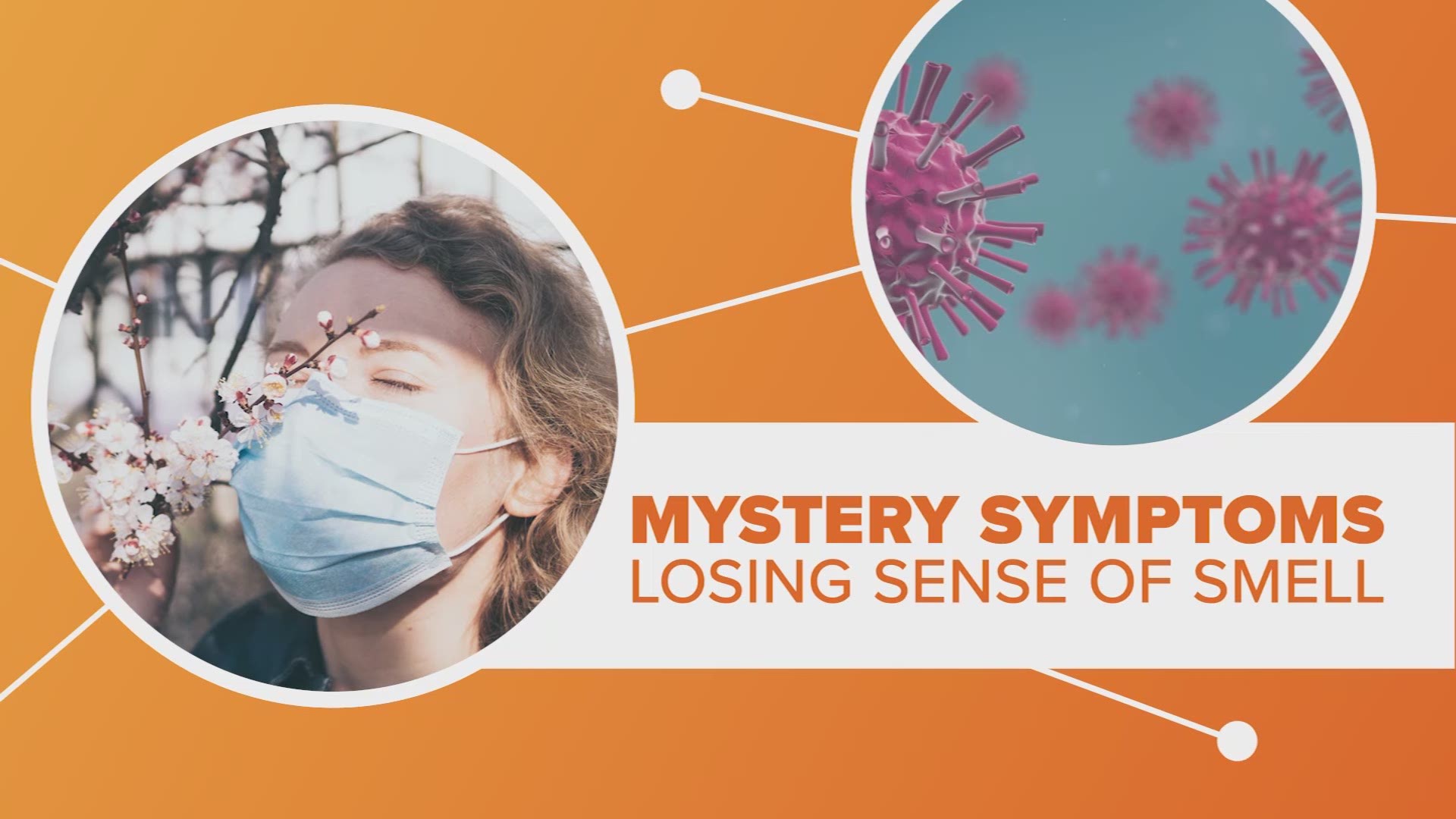 Scientists learn more about why lost of smell is a common early symptoms of coronavirus.