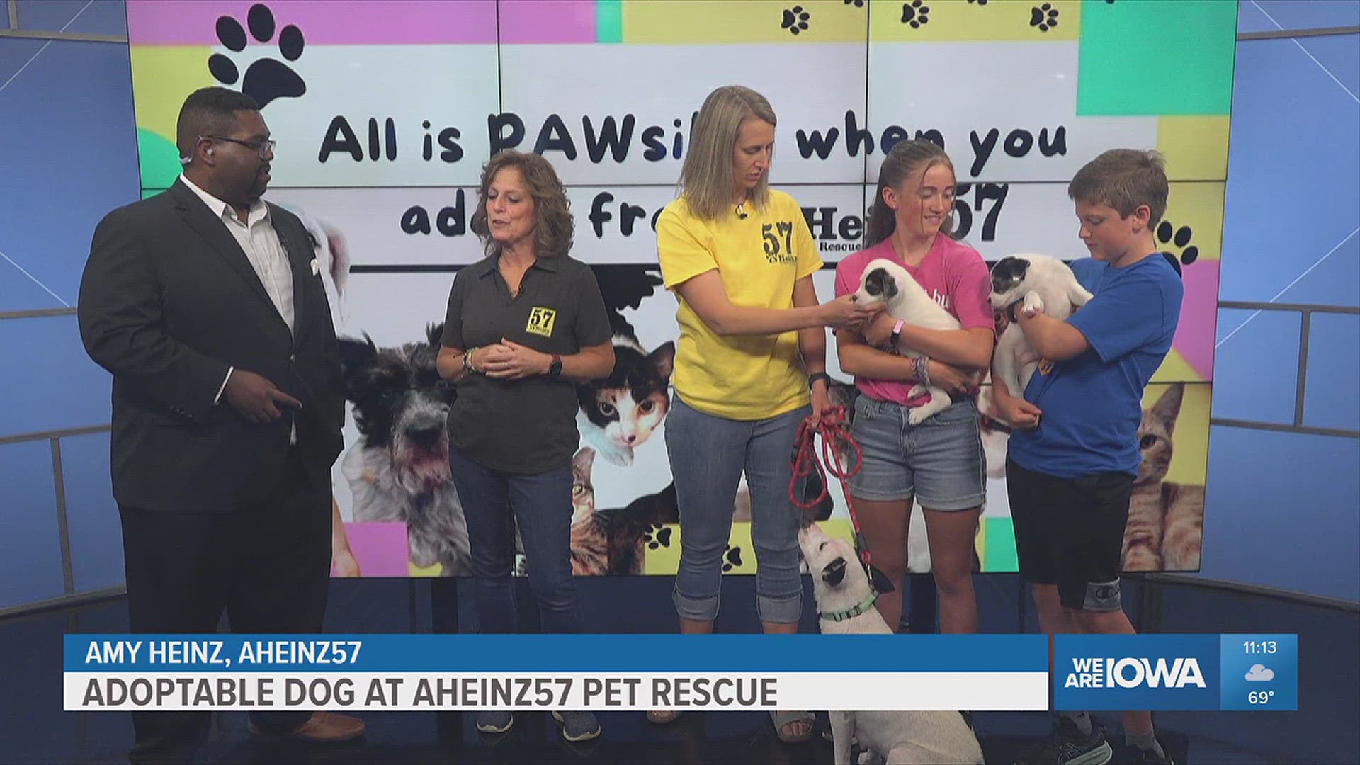 Learn more about Bia, her puppies and other furry friends at https://www.aheinz57.com/