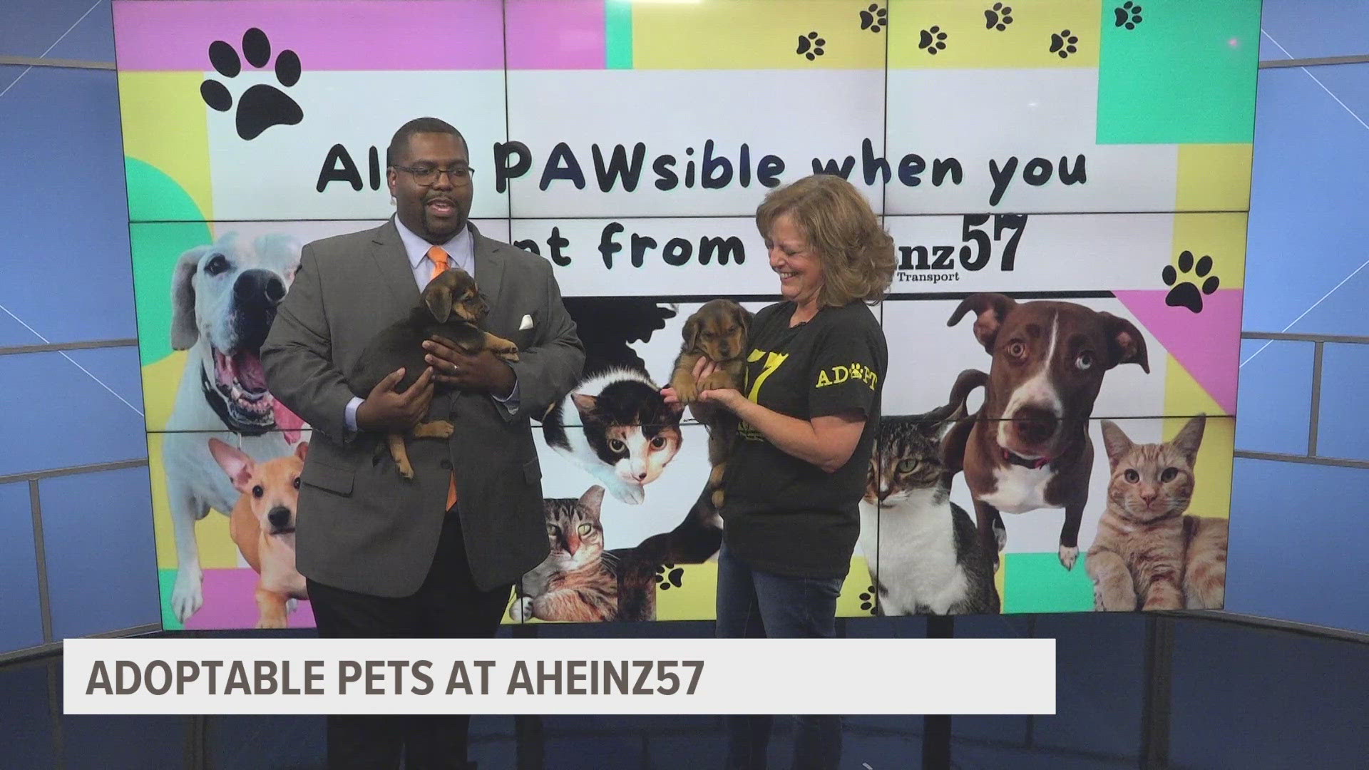 Amy Heinz of AHeinz57 Pet Rescue & Transport introduces viewers to Hannah and Ruthie, two soon-to-be adoptable puppies.