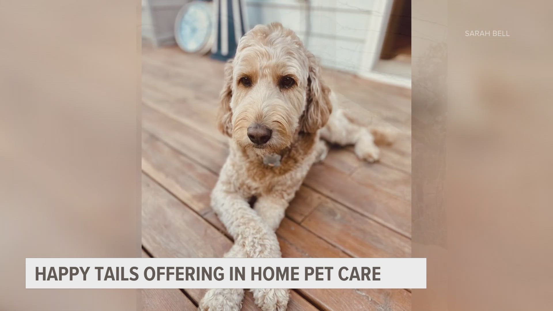 Happy Tails offers in-home pet care. Hear from the company's founder, Sarah Bell.
