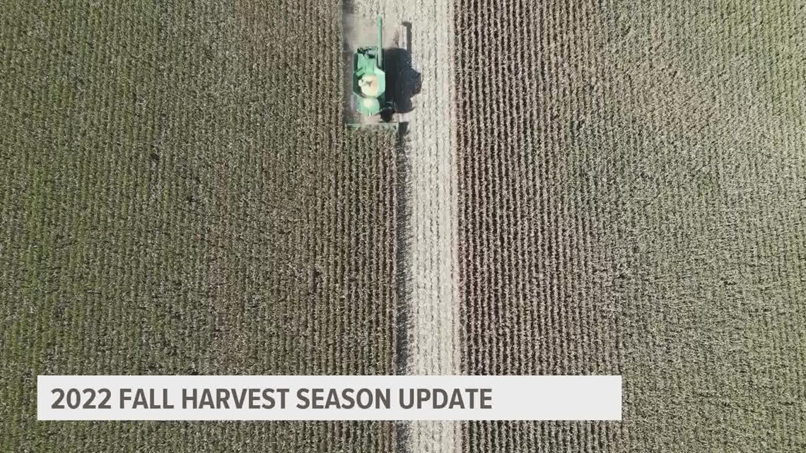 How did the summer drought affect farmers' harvest yields? | weareiowa.com