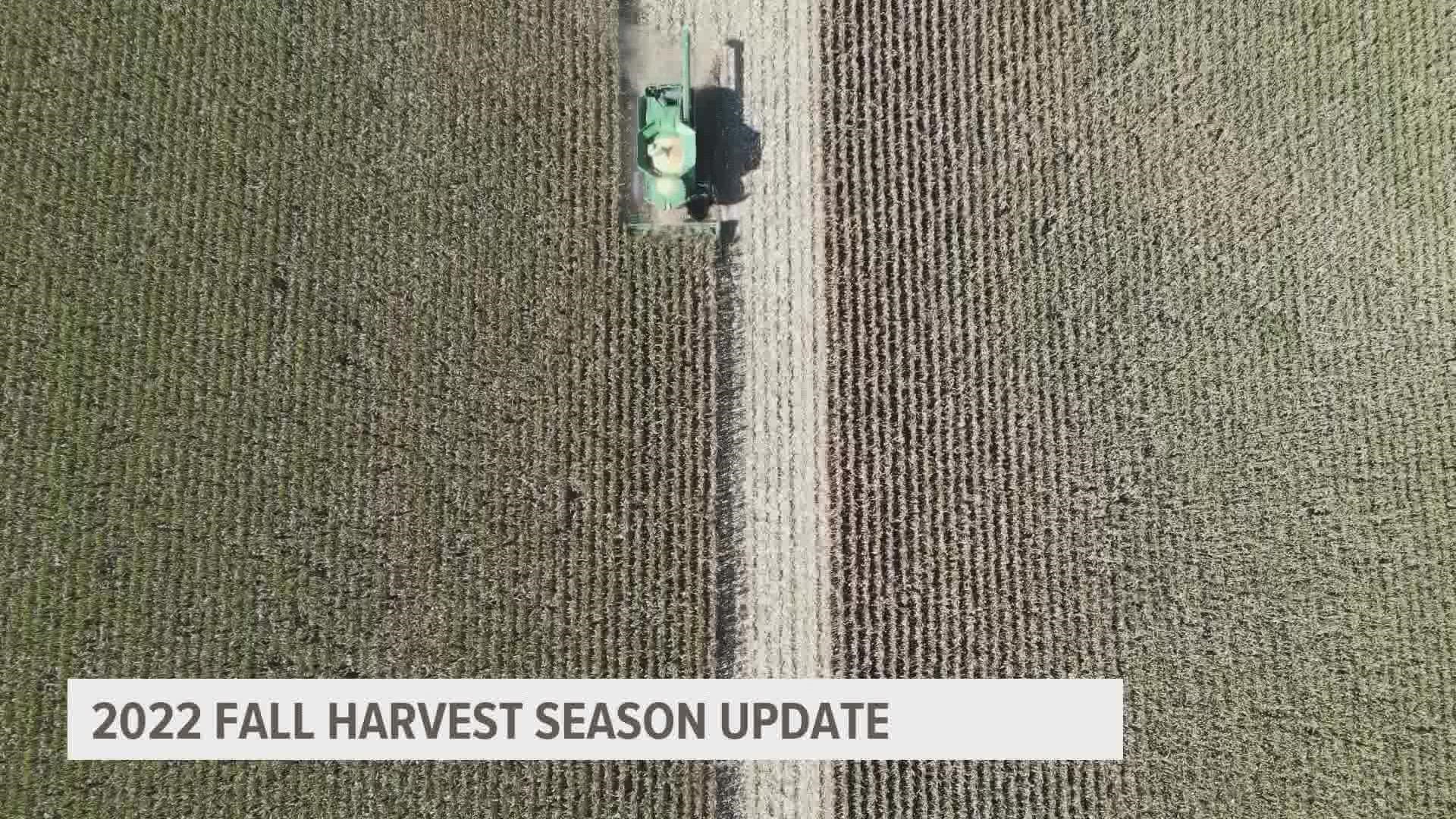 Even with a late planting season and a lack of rainfall through much of the summer, farmers are optimistic that yields will remain strong this year.