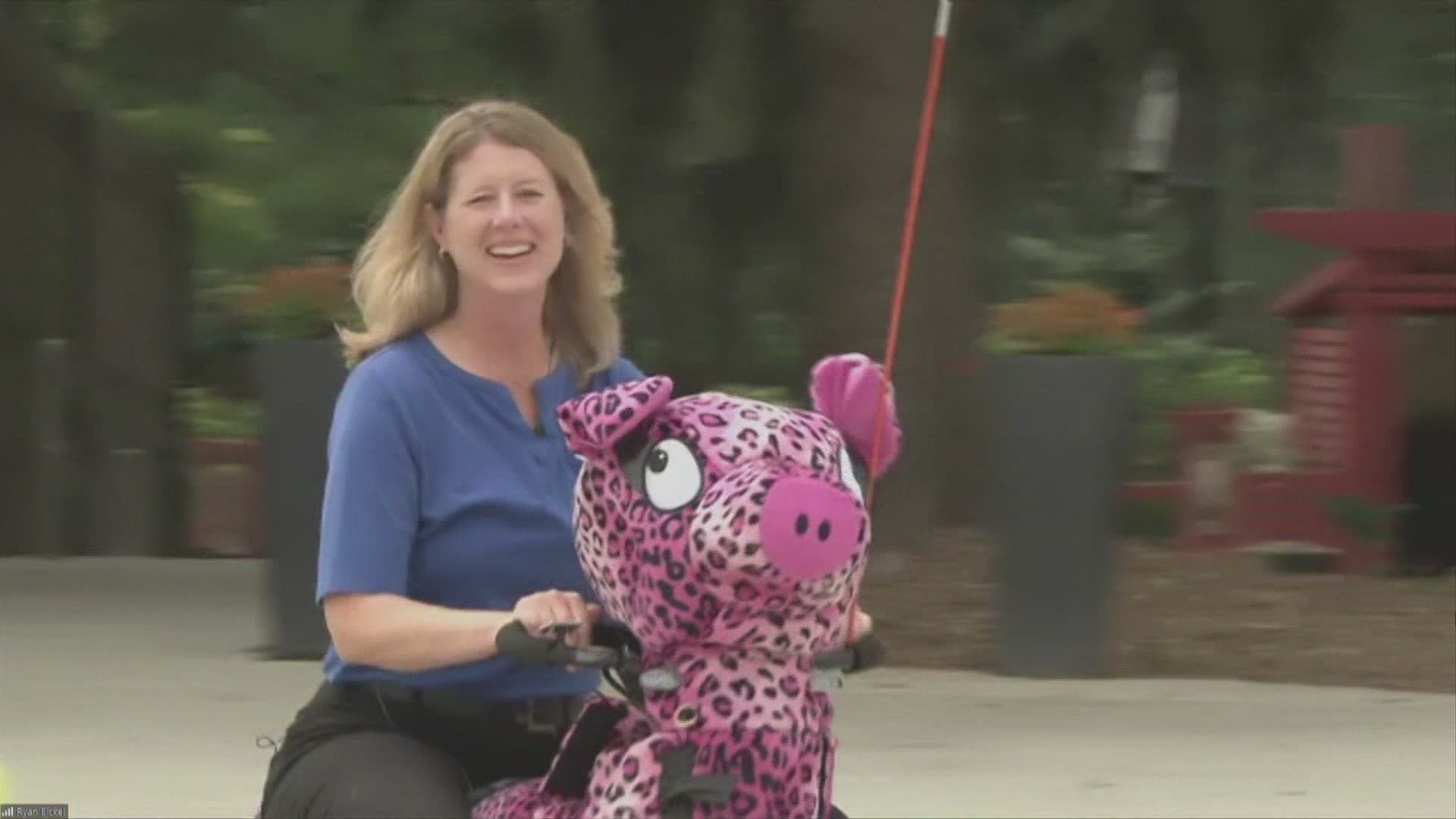 Blank Park Zoo CEO, Anne Shimerdla rides up on the newest attraction in Des Moines...Rydables! These motorized scooters can be rented at the stroller stand at zoo!