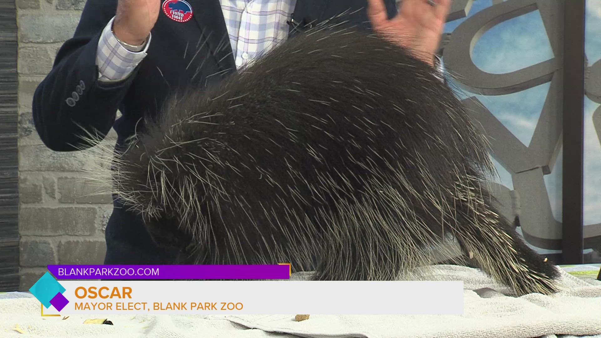 Oscar the Porcupine received an astounding 74% of the vote! He promises to continue advocating for education across the state | Paid Content