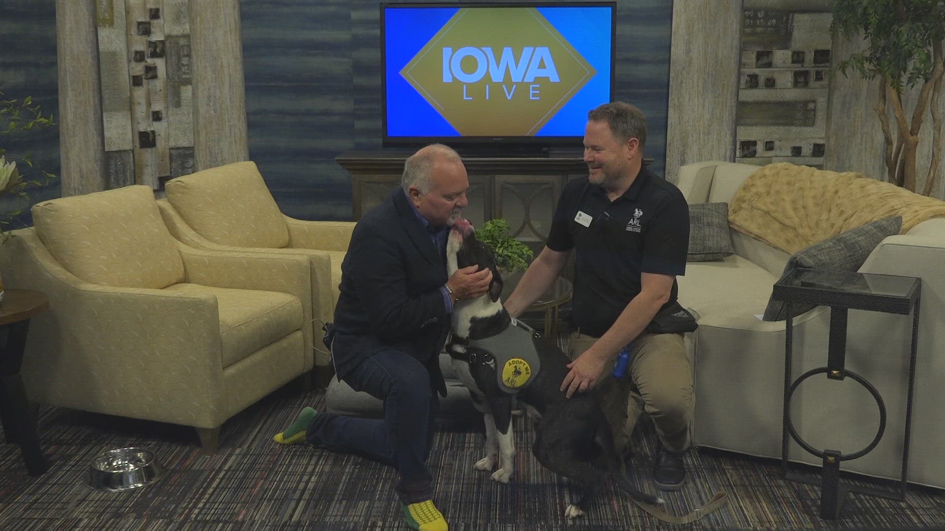 This segment with the Animal Rescue League is brought to you by Dogtopia of Waukee, your premier dog daycare in the metro | Paid Content