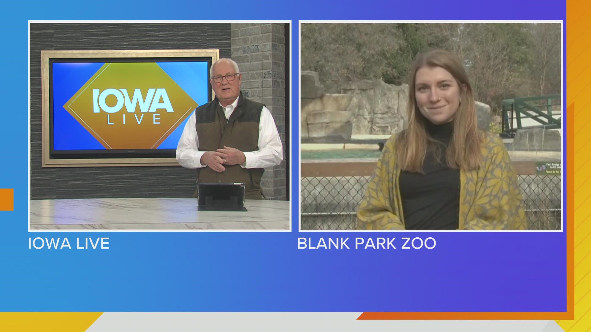 Andrea Stacy talks with guest host Terry Rich about upcoming holiday events and how your donation can help the zoo get vet equipment on Giving Tuesday.