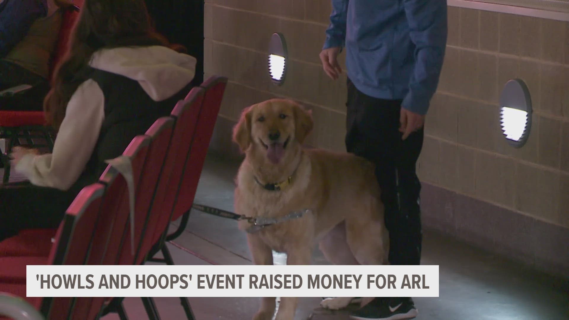 The Animal Rescue League said $6 from every ticket purchased for spectators and their dogs went back to helping homeless pets.