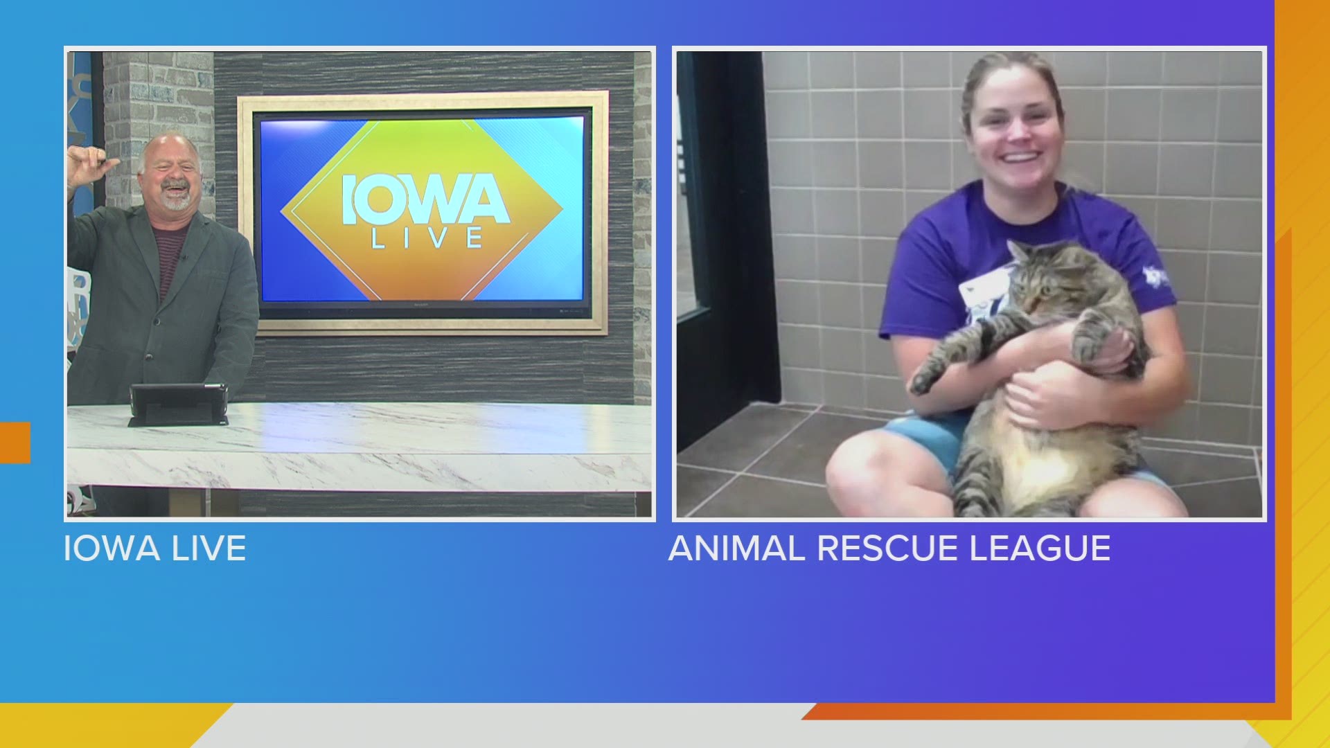 Animal Rescue League of Iowa's Megan Davies introduces you to Nilla, a 6 year old cat looking for a forever home. Dog Father & Cat Daddy shirts for Father's Day!