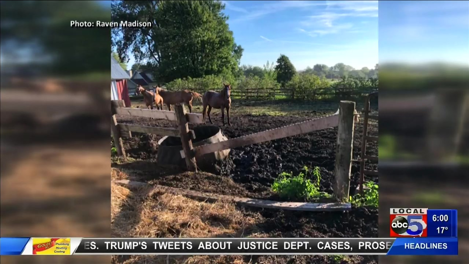 'There is something wrong here': More voice concerns about 60+ horses at Dallas County farm