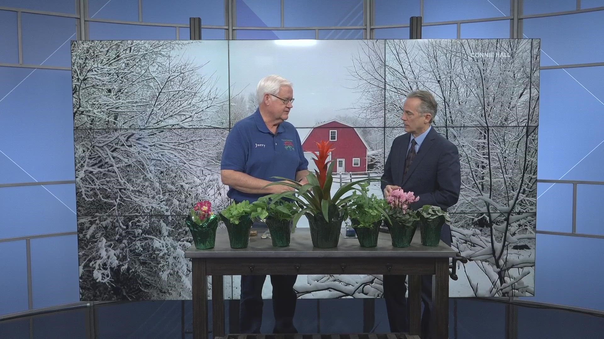 Jerry Holub of Holub Greenhouses joins Local 5 to discuss houseplants and hot peppers.