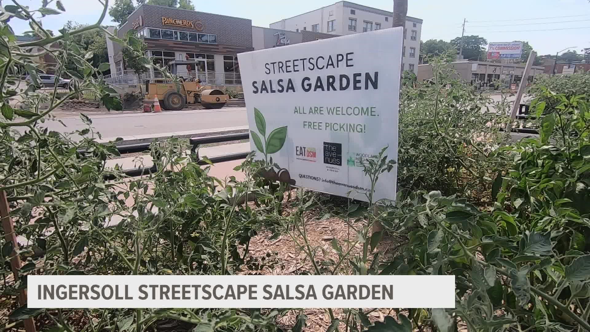 Initially, some tomatoes were planted by a mystery neighbor. Then, the plan was put into action as Eat Greater Des Moines donated pepper and tomato plants.
