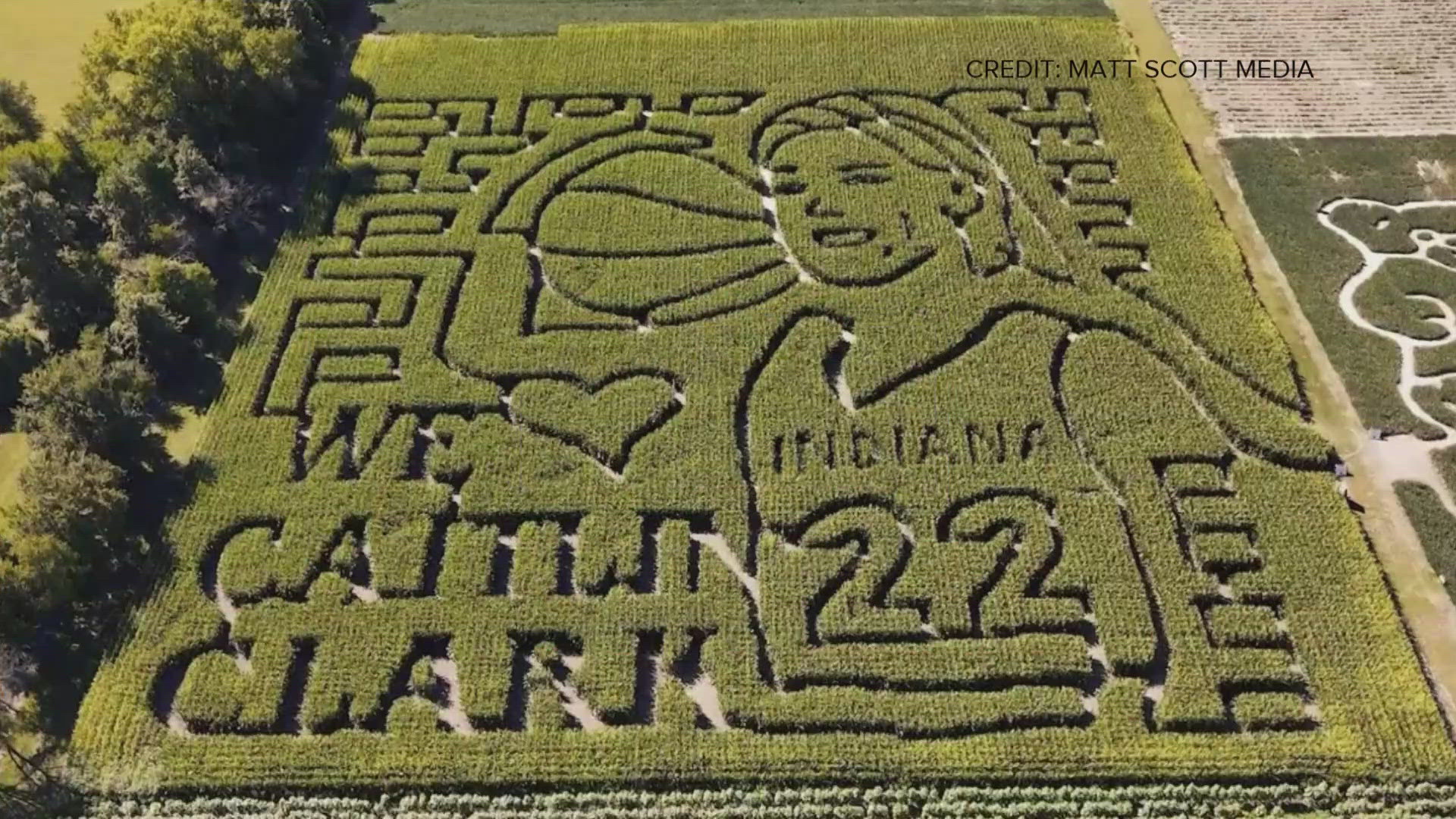 An Indiana orchard is celebrating the Indiana Fever's historic rookie with a special corn maze this fall.