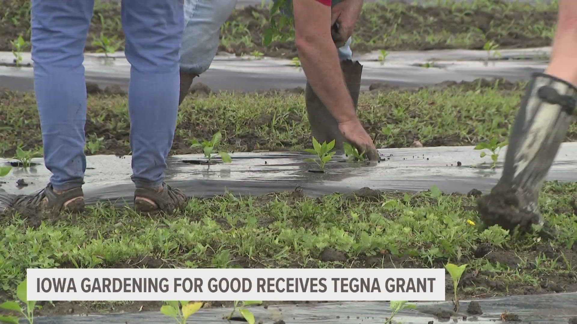 The organization focuses on producing fresh vegetables that can be distributed to local food pantries and other projects to feed those in need.