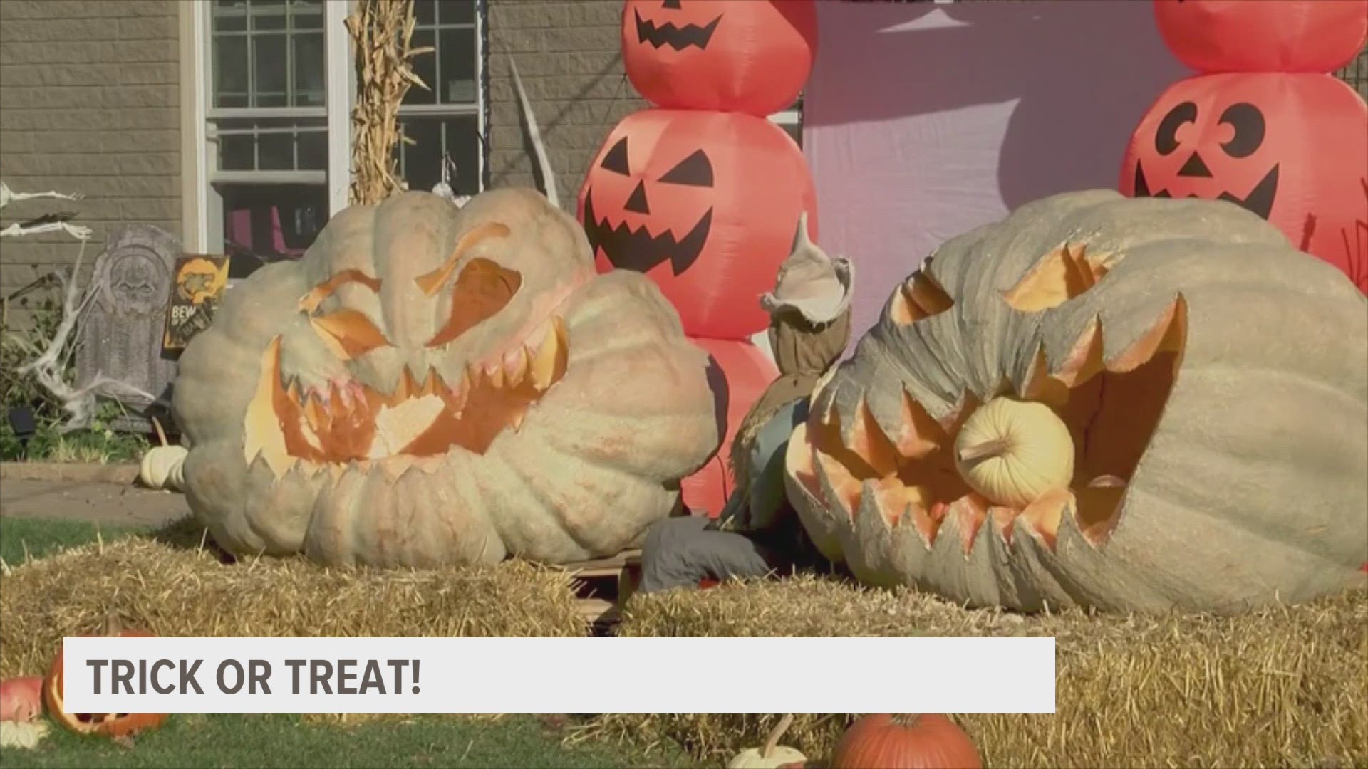 Giant pumpkin display at home in Des Moines