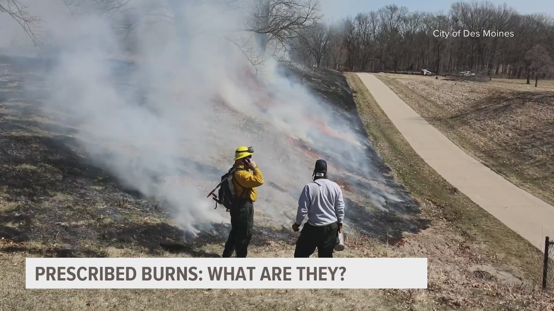 On the surface, it doesn't look like they serve any reasonable purpose. But for most native areas, controlled burns are beneficial for that species' survival.