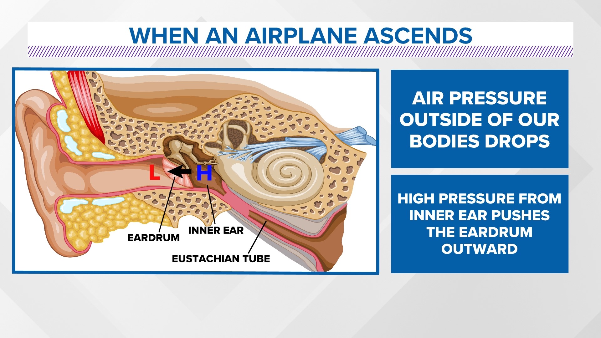 Local 5 Answers Why do your ears pop in airplanes?