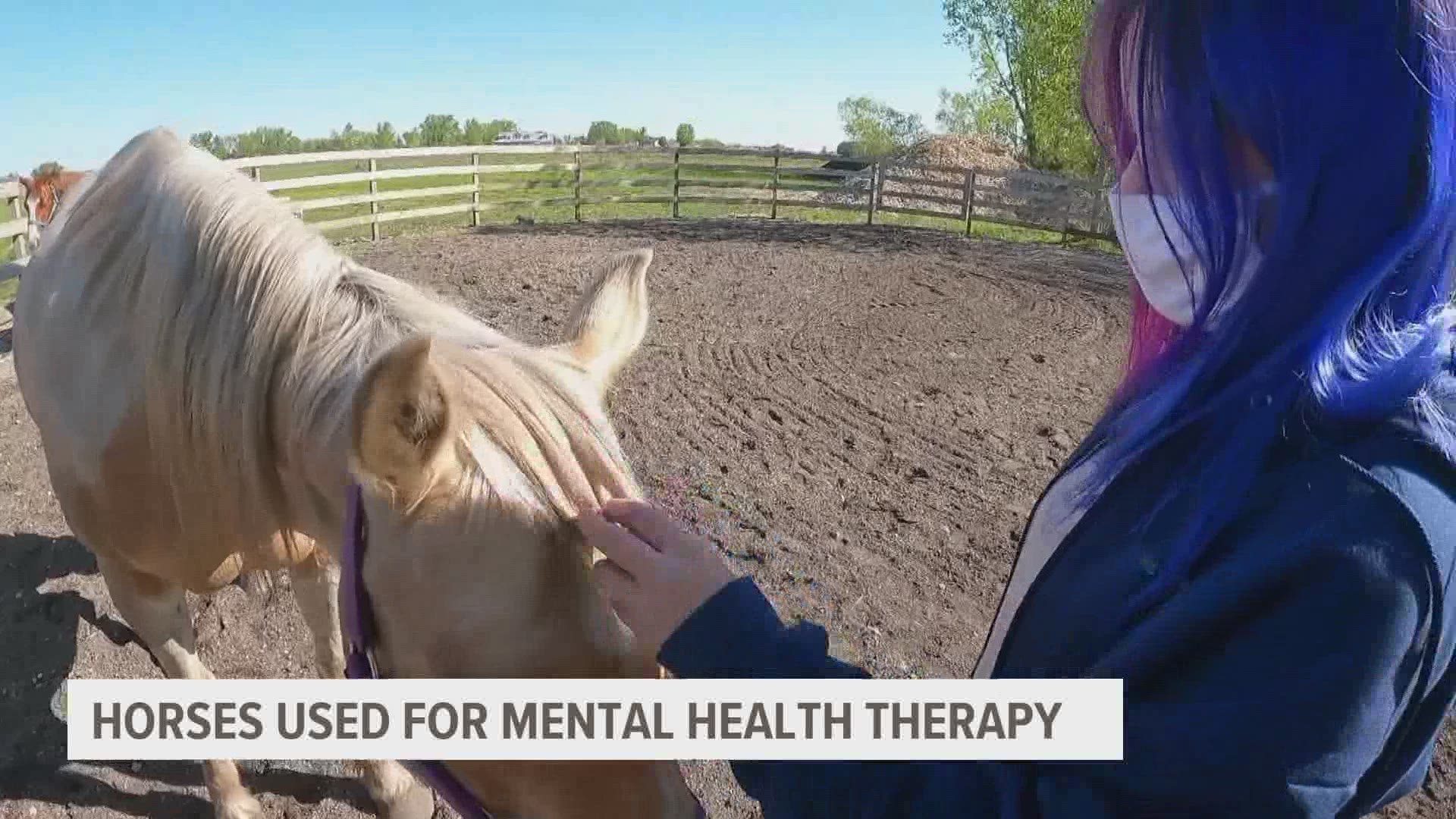 “It’s never too late to seek out mental health," said Danielle Anderson-Jeppesen, owner of Romans Ranch. "It’s never too late.”