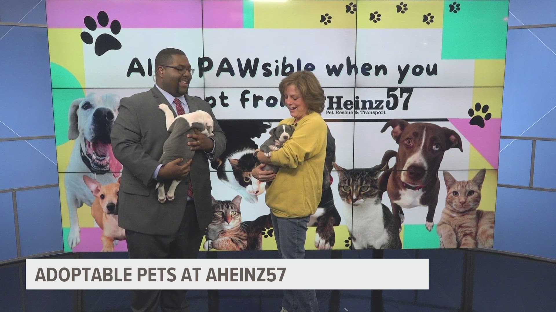 Amy Heinz with AHeinz Pet Rescue & Transport shares what future pet owners should know before adopting. 