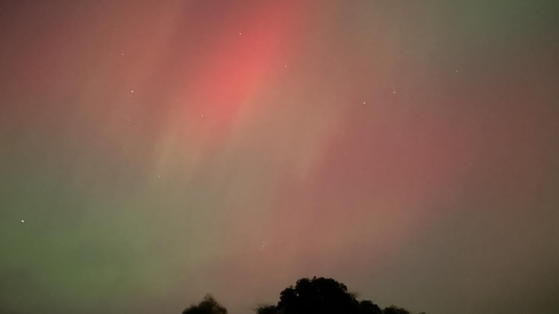 Northern lights at White Rock Conservatory in Coon Rapids
