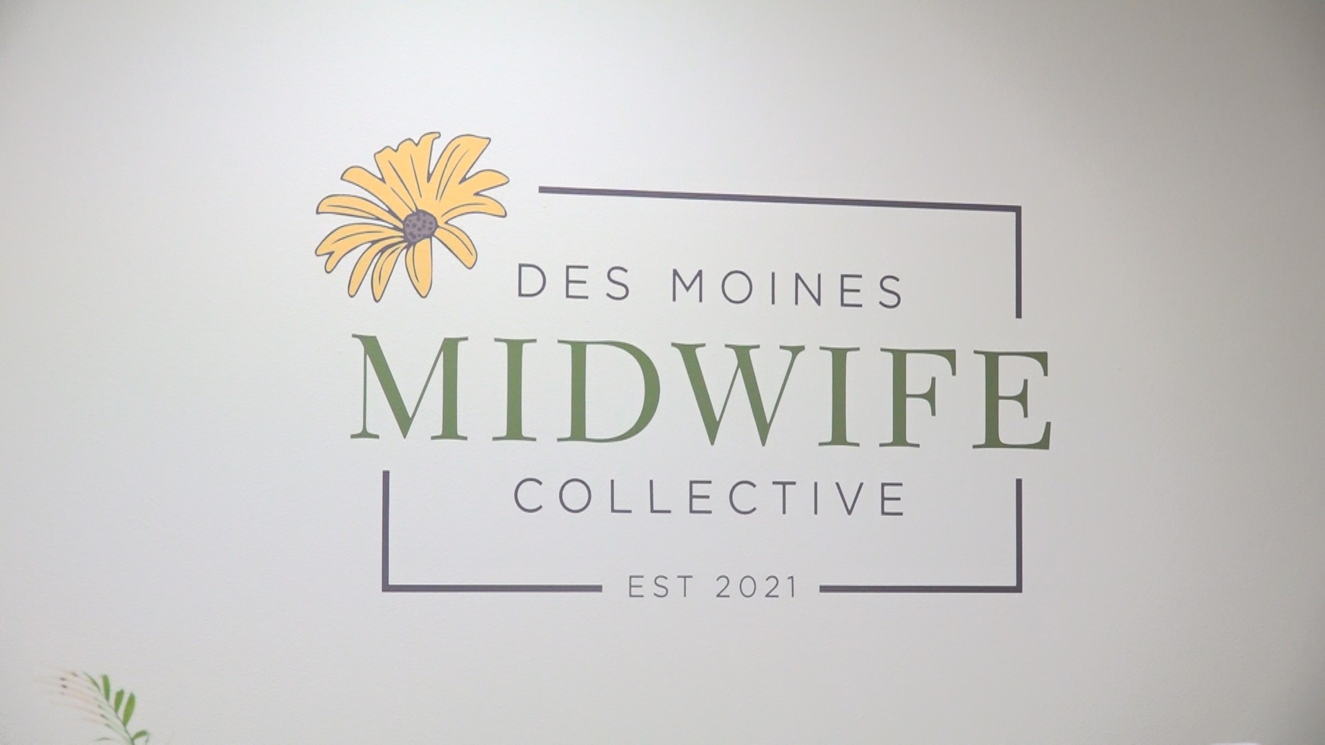 The Des Moines Midwife Collective says mentorship from SCORE has helped their business thrive.